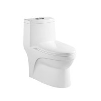 Floor Mount Toilet  Bathroom Modern Siphon Flushing White Ceramic